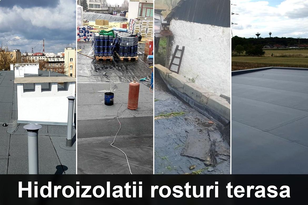 hidroizolatii terase bacesti