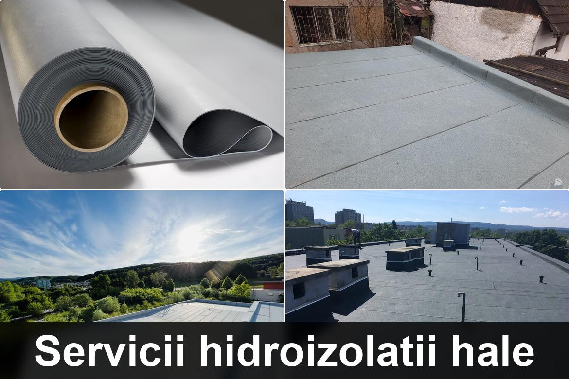 hidroizolatii terase barnova