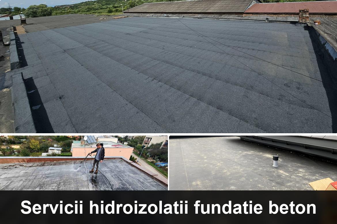 hidroizolatii terase borlesti