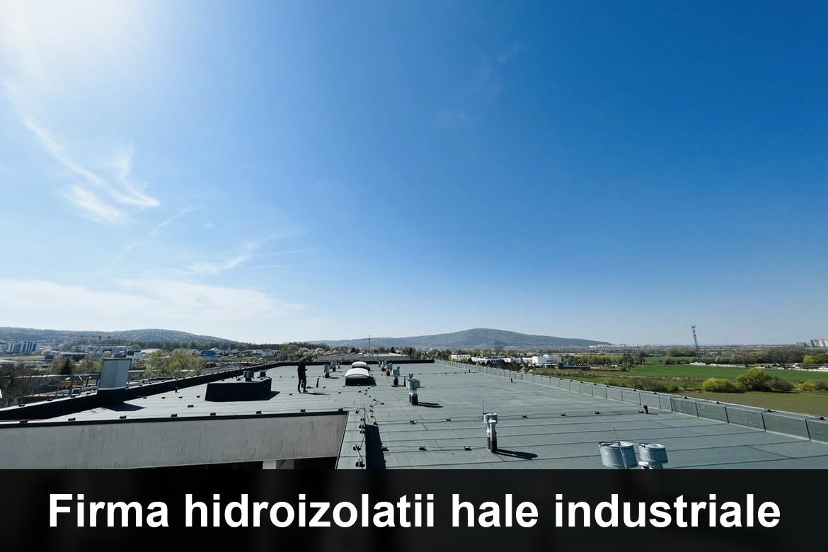 detaliu hidroizolatie terasa termosudabila