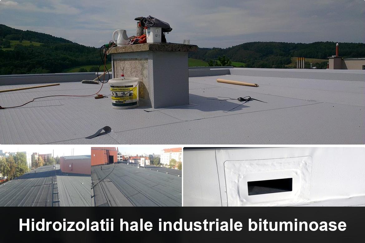 hidroizolatii terase brosteni