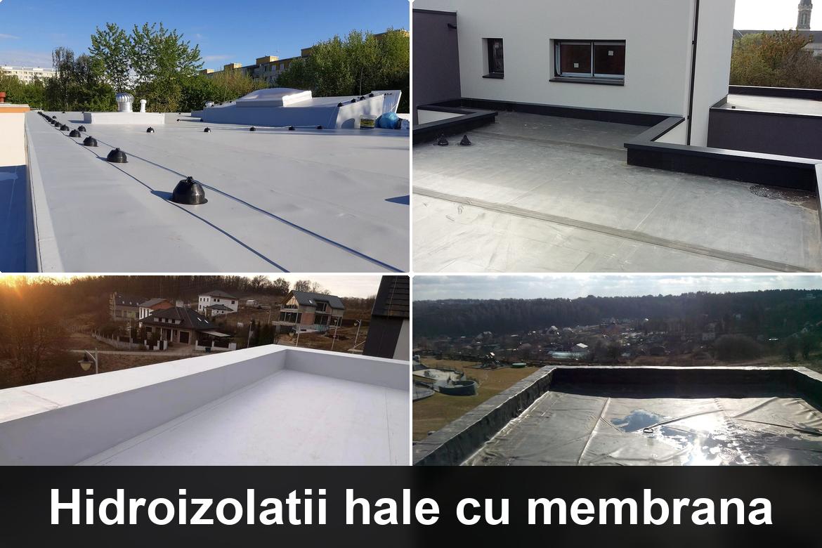 hidroizolatii terase cogealac