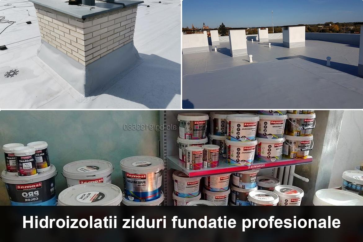 hidroizolatii terase crisan