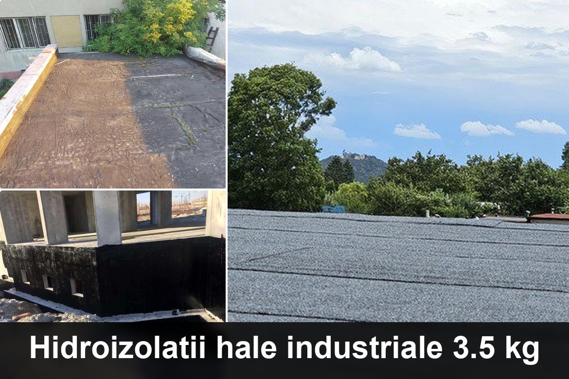 hidroizolatii terase hateg