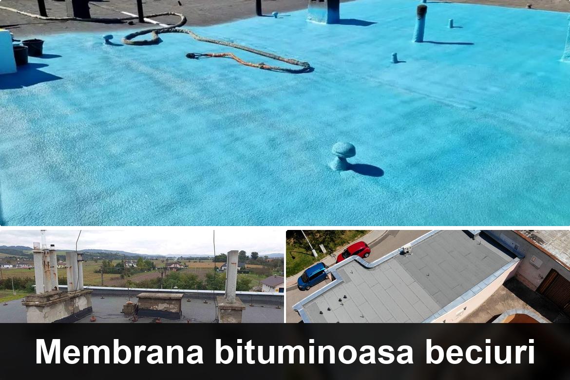 hidroizolatii terase iara