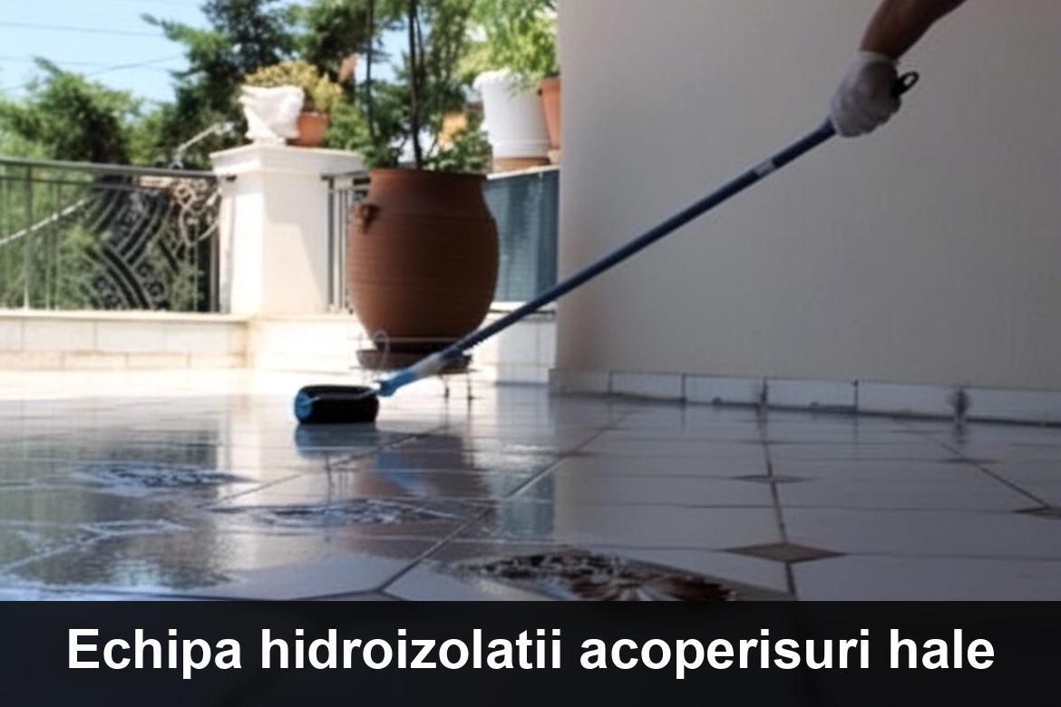 hidroizolatii terase ileana