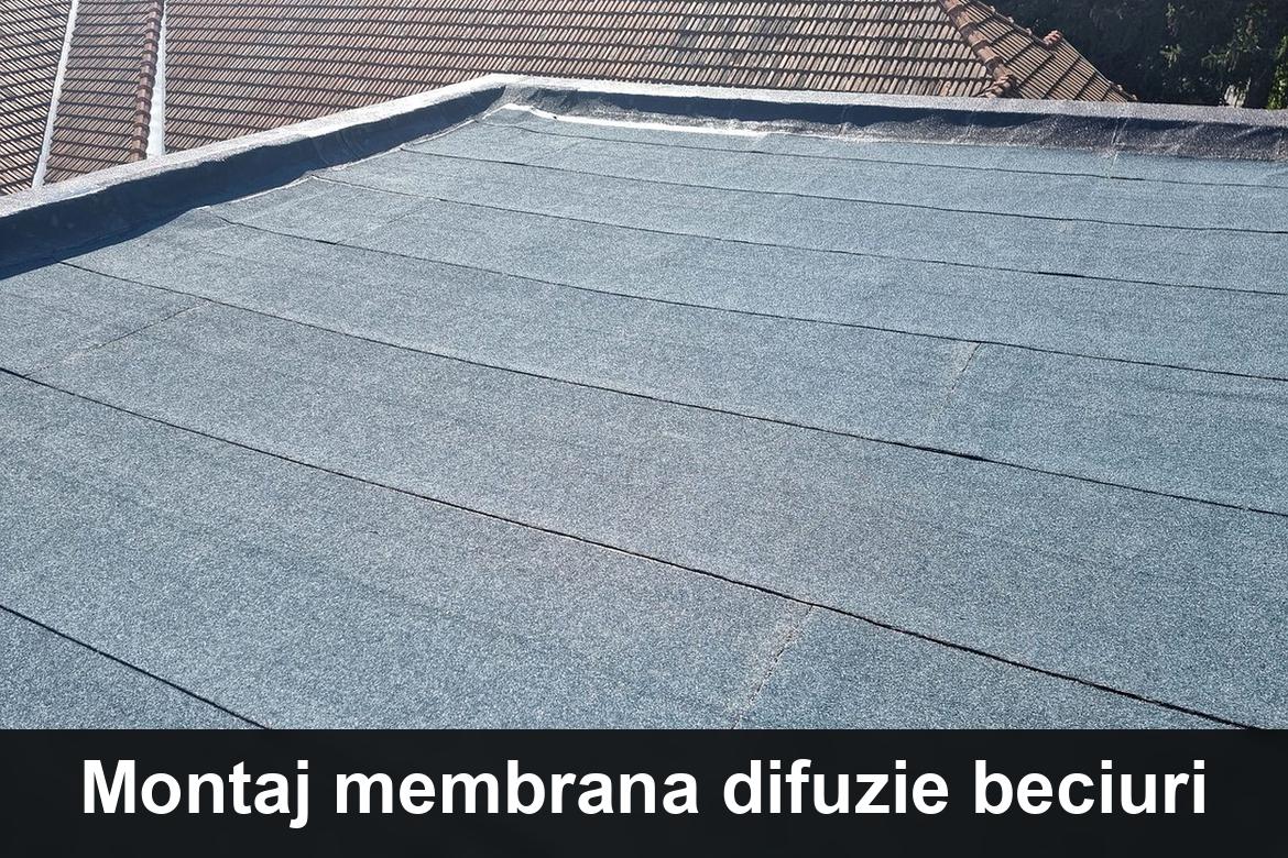hidroizolatii terase ineu