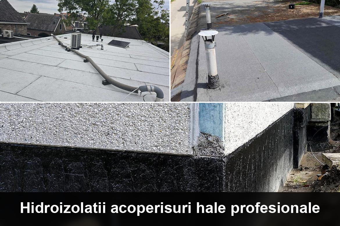 hidroizolatii terase lenauheim