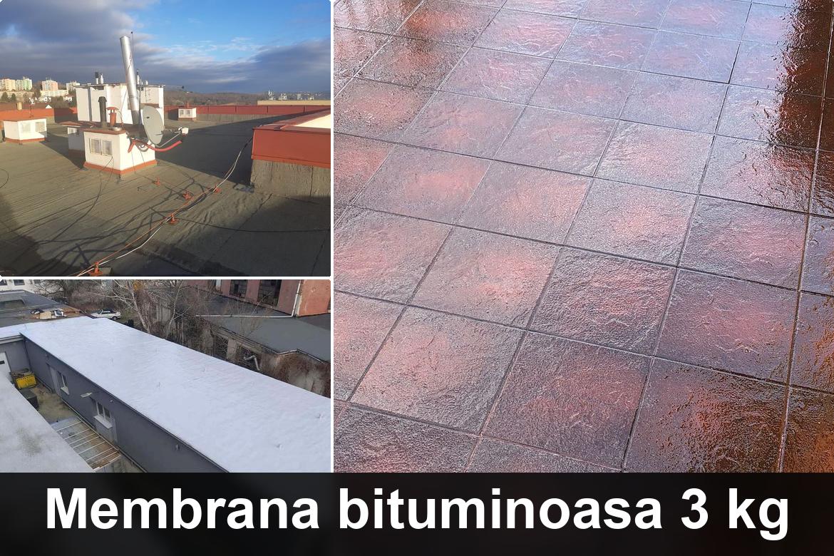 hidroizolatii terase leresti