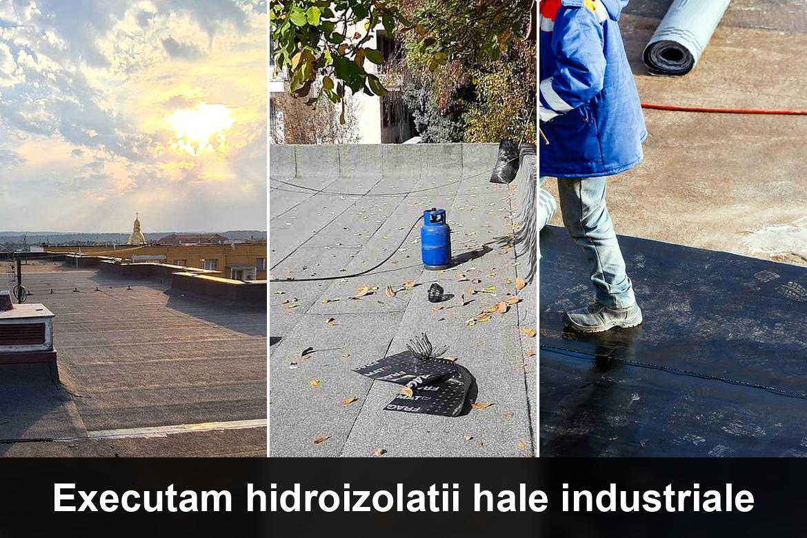 hidroizolatii terase motatei