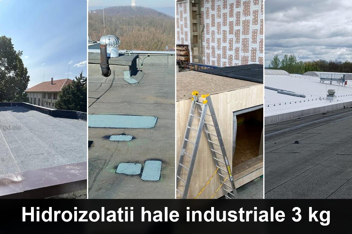 hidroizolatii terase murighiol
