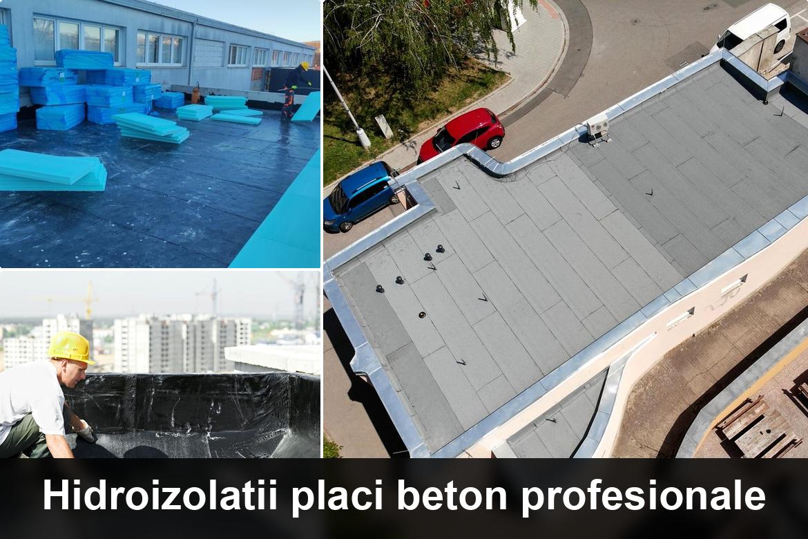 hidroizolatii terase plenita