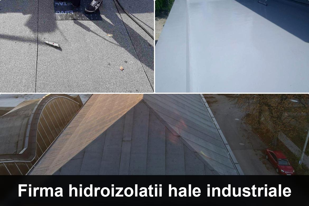 hidroizolatii terase sannicolau mare
