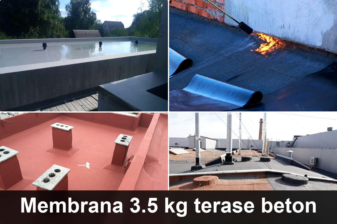 hidroizolatii terase scoarta