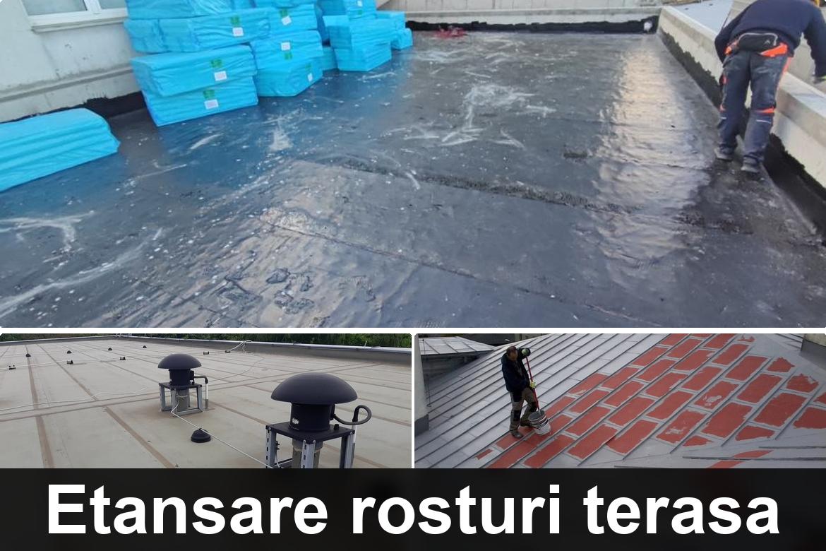 hidroizolatii terase somcuta mare