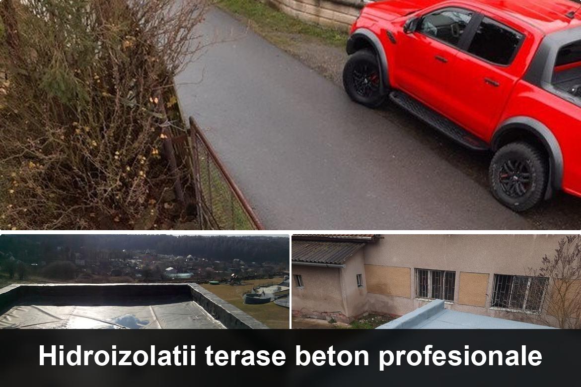 hidroizolatii terase vedea